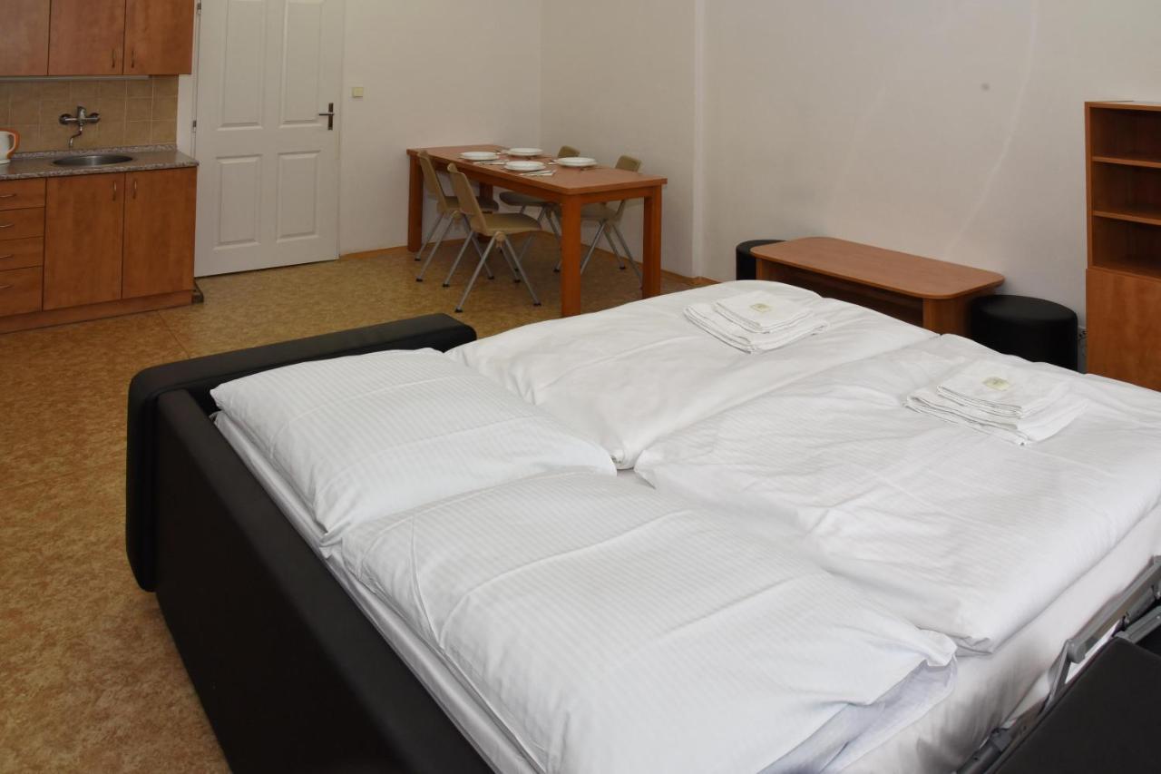 Zamek Racice Hotel Bagian luar foto