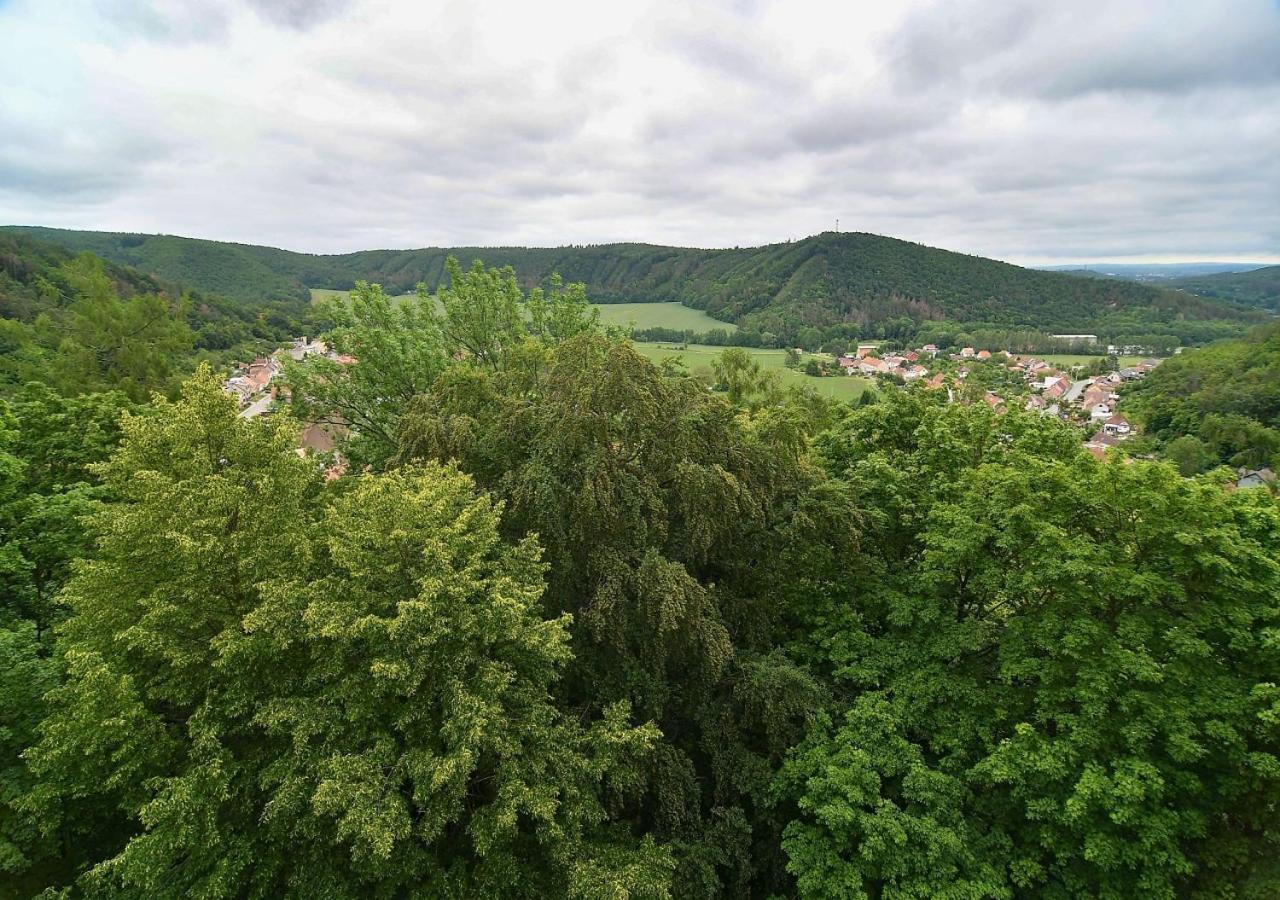 Zamek Racice Hotel Bagian luar foto