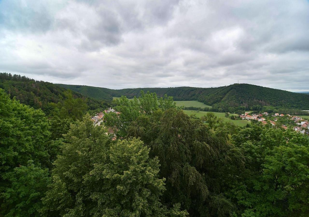 Zamek Racice Hotel Bagian luar foto